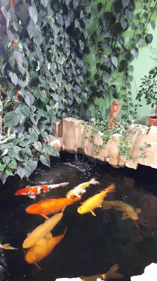 Appartement Apartman Koi à Veltrusy Extérieur photo